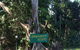 Byron Bay Rainforest Resort - thumb 0