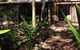 Byron Bay Rainforest Resort - thumb 1