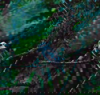 Broken River Mountain Resort - Darwin Holiday