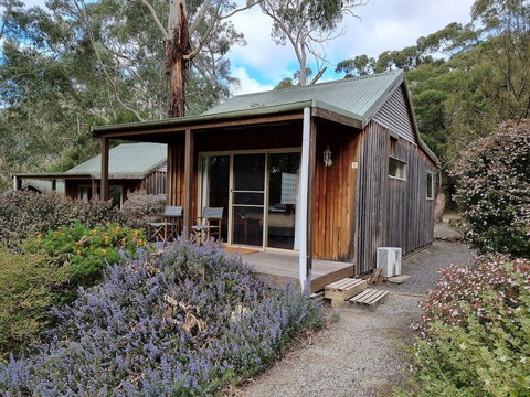 D'Altons Studios - Darwin Holiday 3