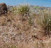 Schouten House - Darwin Holiday