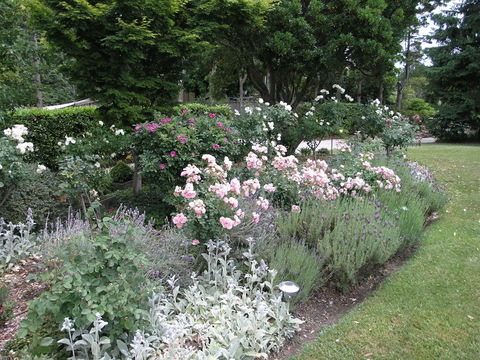 Silvermere - Darwin Holiday 4