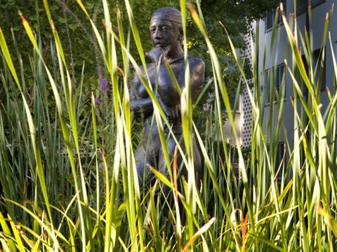 ANU University House Hotel - Darwin Holiday 6