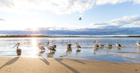 El Paso Motor Inn - Darwin Holiday 0