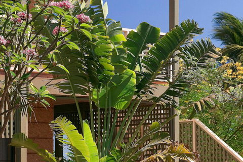 Ibis Styles Port Hedland - Darwin Holiday 3