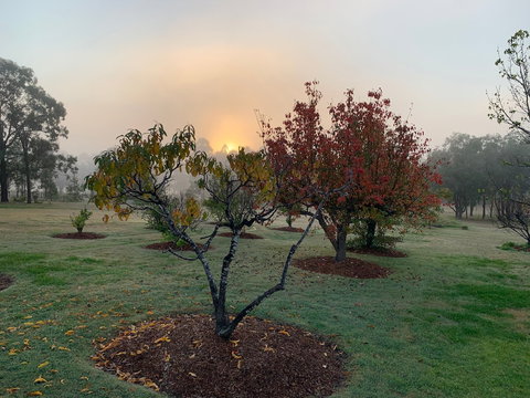 Woolshed Hill Estate - Darwin Holiday 6