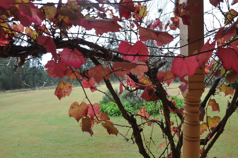 Woolshed Hill Estate - Darwin Holiday 1