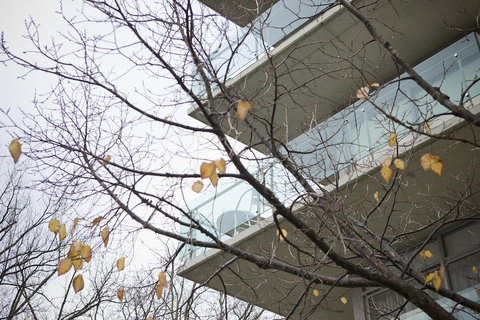 The Sebel Launceston - Darwin Holiday 0