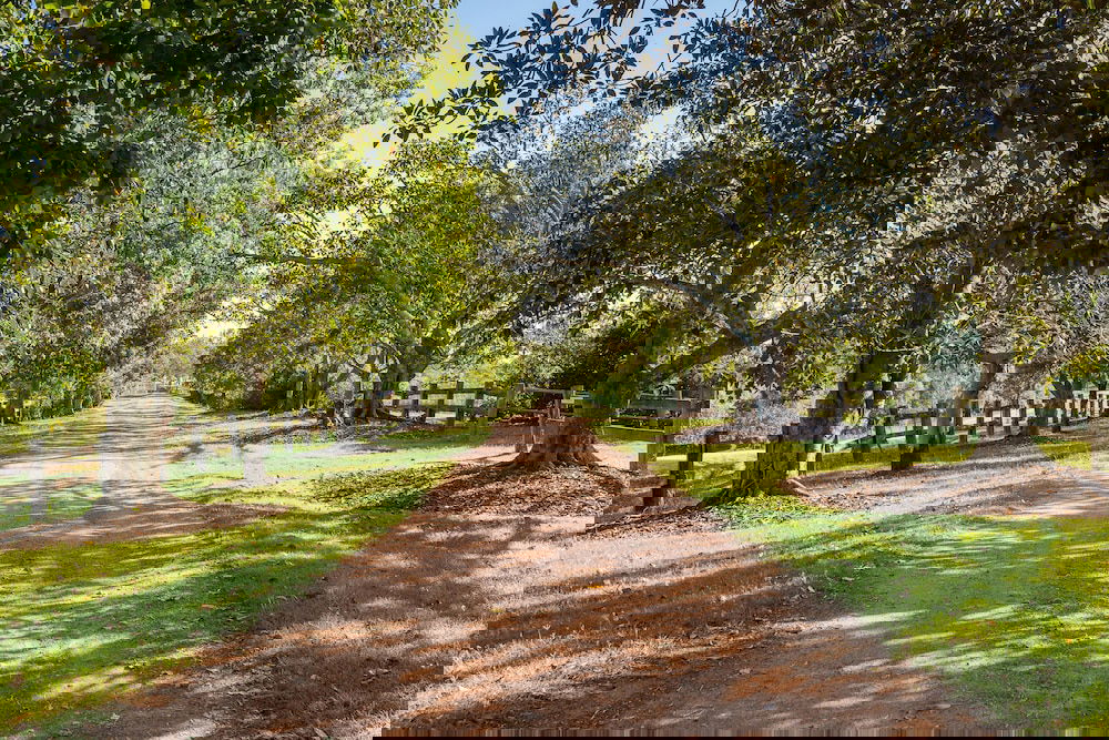 Ashwell QLD Darwin Holiday