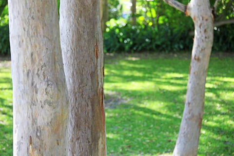 The Retreat Port Stephens - Darwin Holiday 2