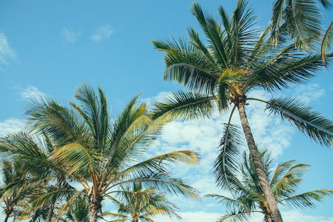 Base Magnetic Island Hostel - Darwin Holiday 0