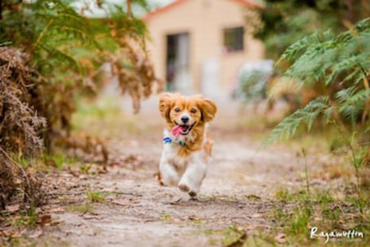 Bambra VIC Darwin Holiday