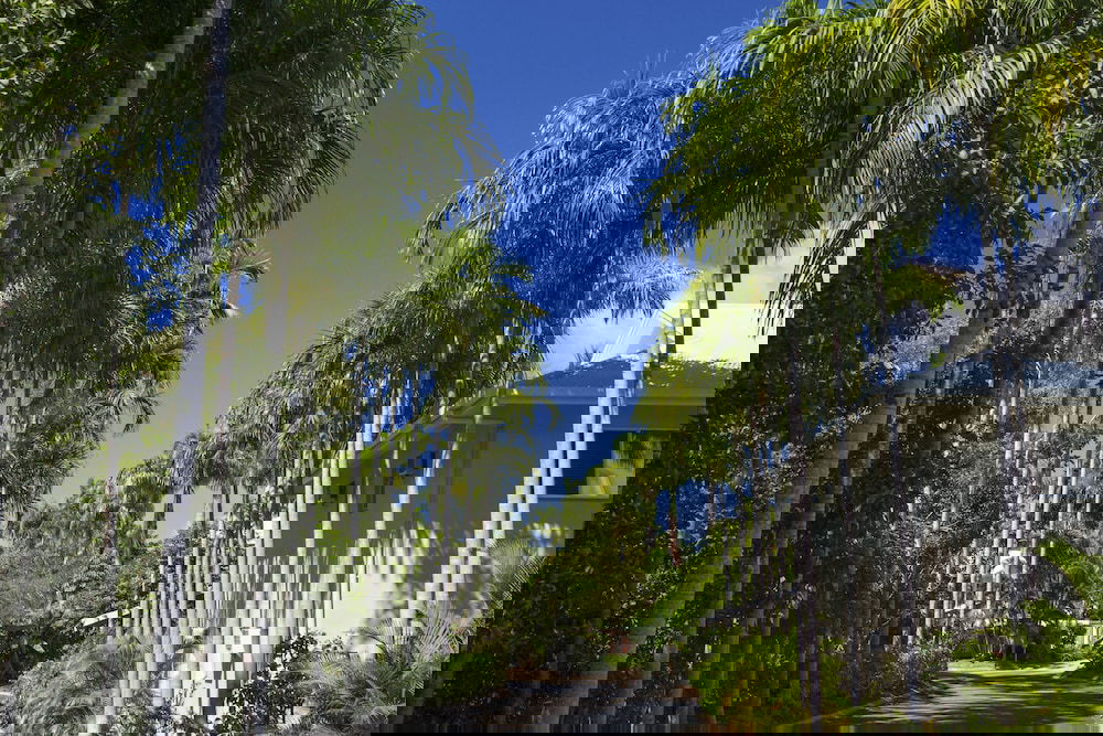 Craiglie QLD Darwin Holiday