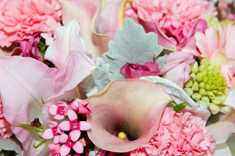 Rydges Horizons Snowy Mountains - Darwin Holiday 5