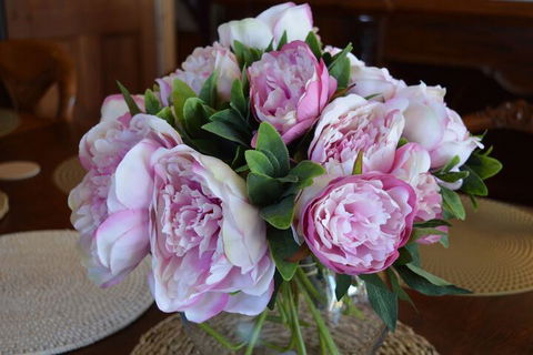 The Dragonfly Inn - Darwin Holiday 7