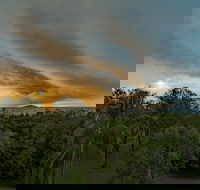 Ocean International - Darwin Holiday