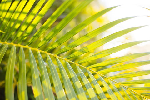 Mercure Townsville - Darwin Holiday 4