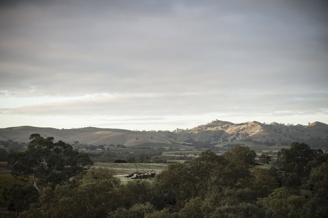 Novotel Barossa Valley Resort - Darwin Holiday 1