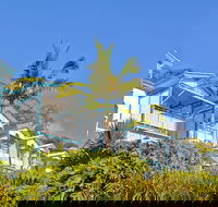 Tangalooma Island Resort - Darwin Holiday