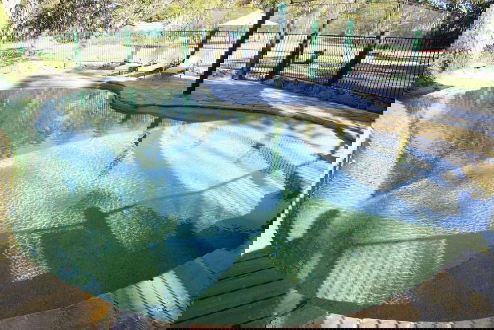 Webbers Creek NSW Darwin Holiday