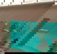 Novotel Brisbane Airport - Darwin Holiday