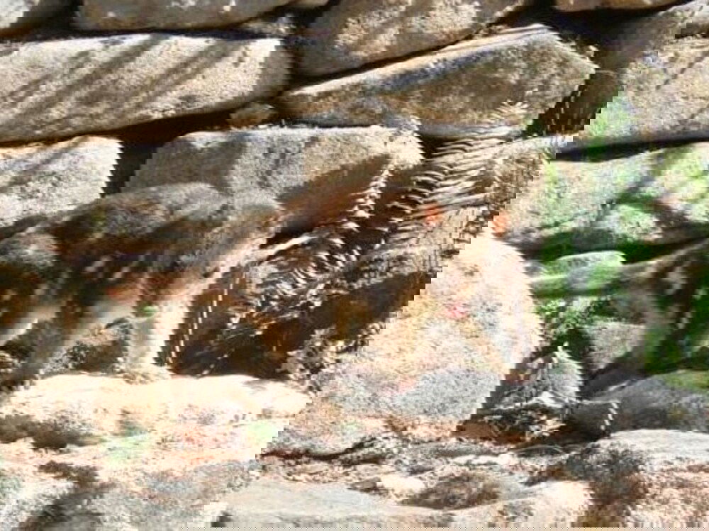 Newnes NSW Darwin Holiday