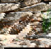 Jenolan Caves House - Darwin Holiday