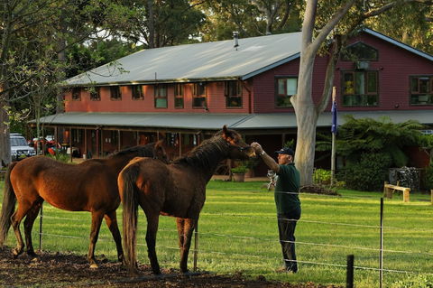 Bilpin Country Lodge - Darwin Holiday 1