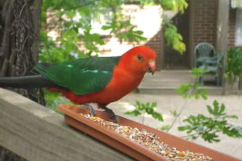 Restaway Holiday Units - Darwin Holiday 1