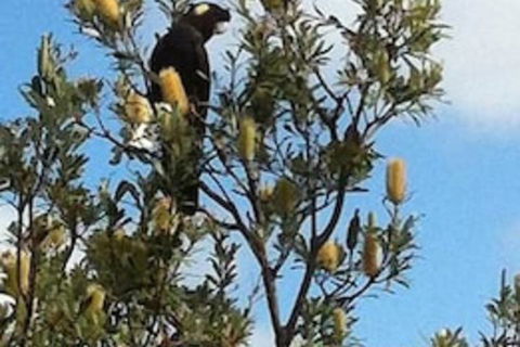 Lake Illawarra B&B - Darwin Holiday 1