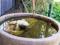 Hope Cottage Country Retreat - Darwin Holiday 4