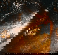 Margaret River Holiday Cottages - Darwin Holiday