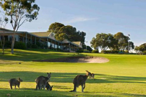 Early Settlers Motel Tocumwal - Darwin Holiday 6