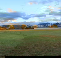 Radiance on Lyra - Darwin Holiday