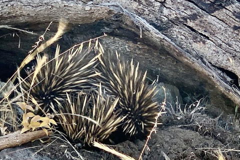 Sunrise On Falie - Darwin Holiday 3