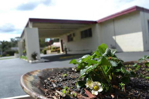 Wattle Motel - Darwin Holiday 2