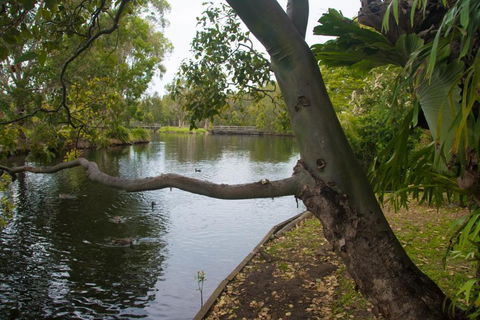 Northlakes Studio - Darwin Holiday 4
