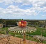 Beths Cottage Roaring 40s - Darwin Holiday