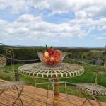 Beths Cottage Roaring 40s - Darwin Holiday 0