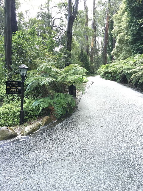 Mountain Lodge - Darwin Holiday 0