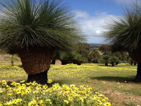 Bed + Bauhaus - Darwin Holiday 5