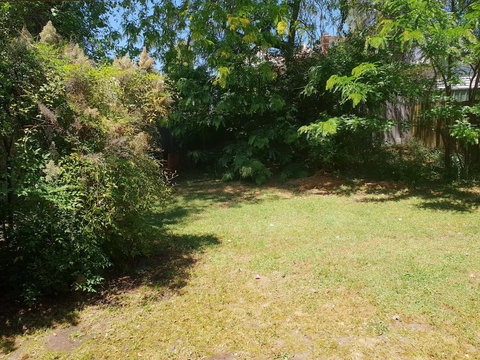 Myers CBD - Darwin Holiday 3