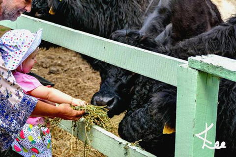 Rosecliffe Boutique Farm Cottages - Darwin Holiday 1