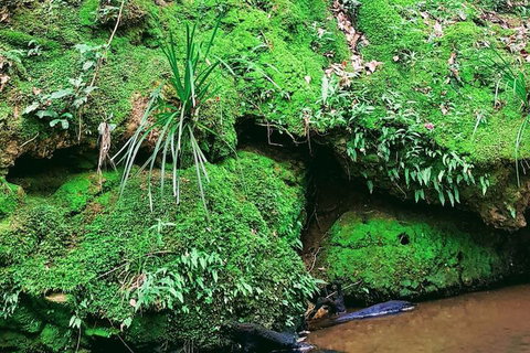 Stokers Lodge - Darwin Holiday 5