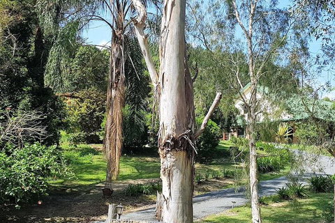 Stokers Lodge - Darwin Holiday 1