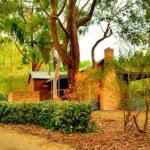 Cedarwood Cottage - Darwin Holiday 0