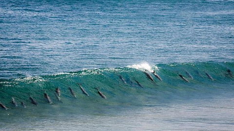 Neptune At Port Elliot - Darwin Holiday 2