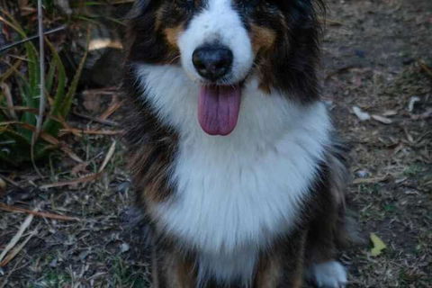 Wildlife Holiday Home - Darwin Holiday 7