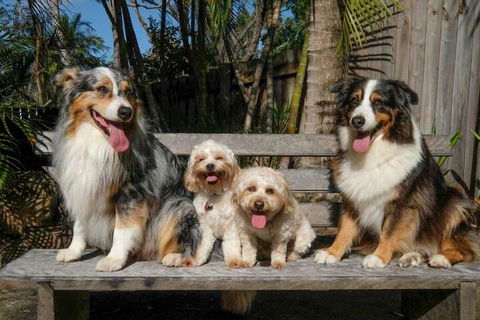 Wildlife Holiday Home - Darwin Holiday 4