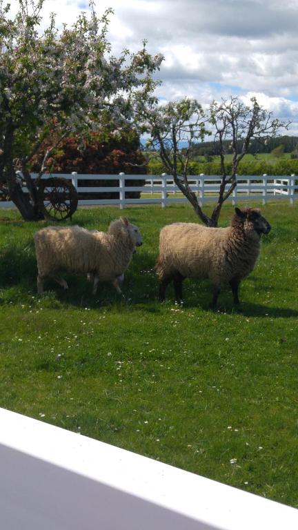 Little Sunnyside Accommodation - Darwin Holiday 5